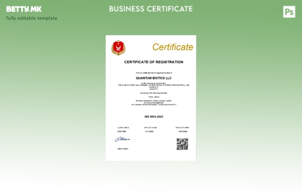 модерен стил Турција сертификат за регистрација на бизнис Шаблон за Word и PDF ш